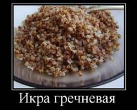 <b>Название: </b>Фотография 2, 
 <b>Добавил:<b> ilfatir<br>Размеры: 560x517, 
 49.7 Кб